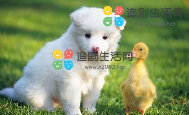 阿里云oss自动给图片加水印 阿里云oss自动给图片加水印